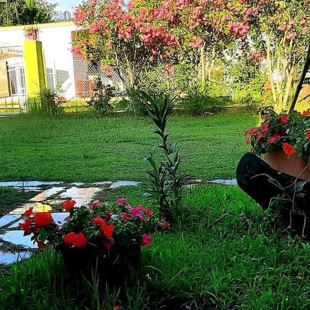 Kolonia E Artistave Velipojë Exterior foto